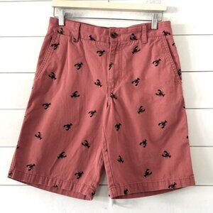 IZOD Size 30 Brick Redbwith Lobster Classic shorts Chinos